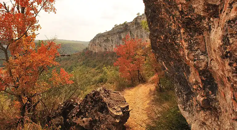 Holiday home in Catus
