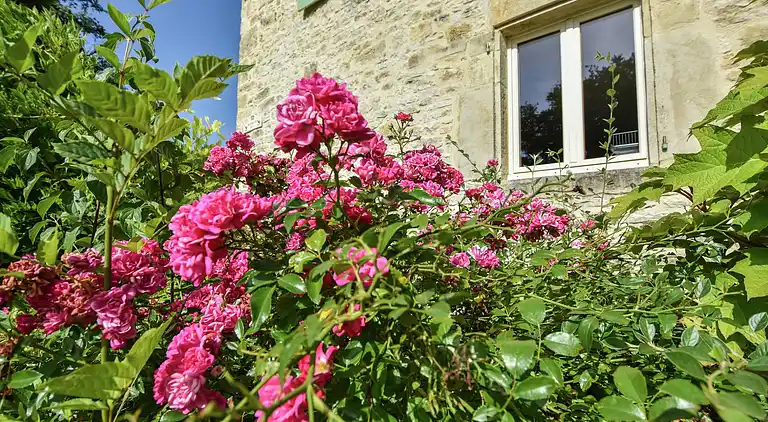 Holiday home in Cazals