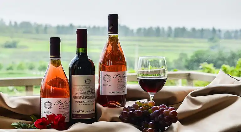 Casa de vacaciones en Salviac