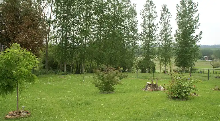 Holiday home in Cocumont