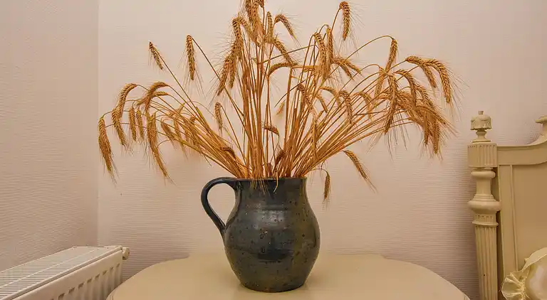 Holiday home in Labastide-Murat