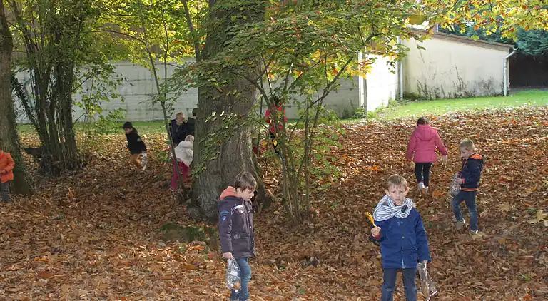 Holiday home in Vielle-Saint-Girons