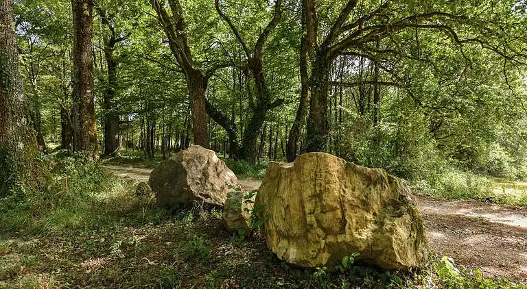 Holiday home in Cazals