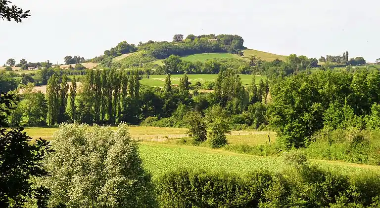 Herregård i Monflanquin