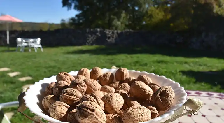 Holiday home in Gramat