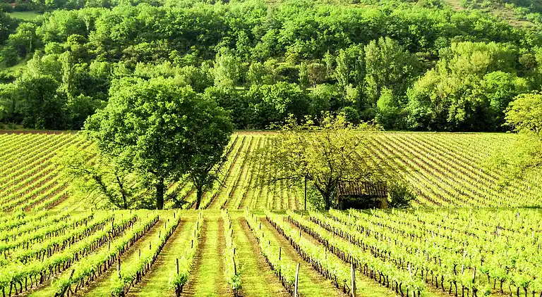 Herregård i Monflanquin