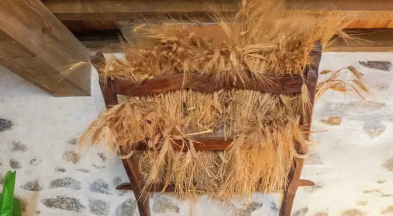 Holiday home in Latour-de-France