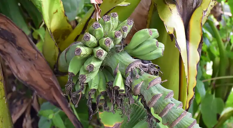 Holiday home in Cazals