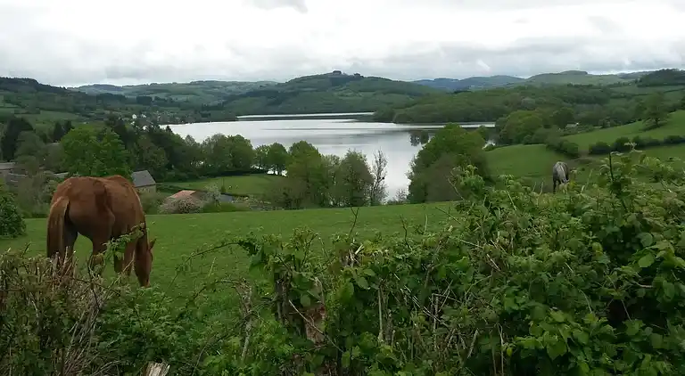 Sommerhus i Château-Chinon(Ville)