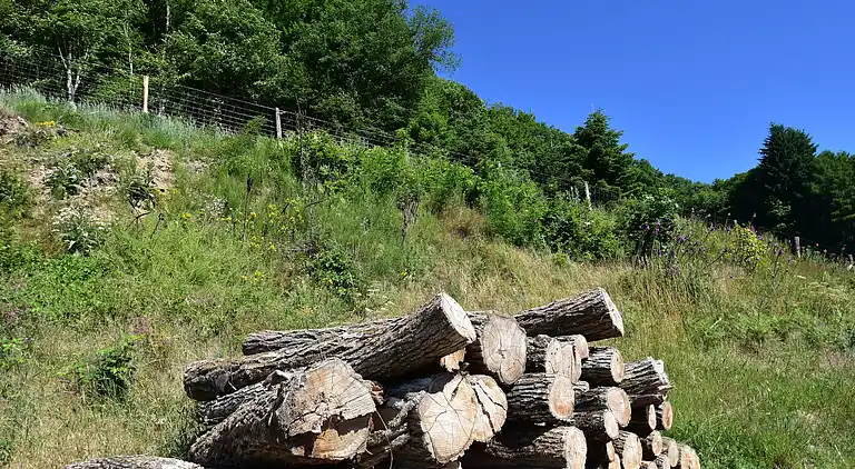 Sommerhus i Sémelay