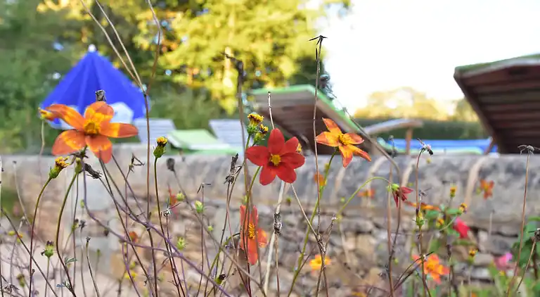 Holiday home in Cazals