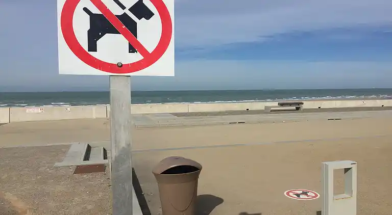 Apartment in Wissant