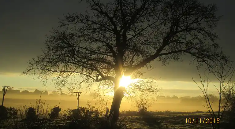 Holiday home in Bona