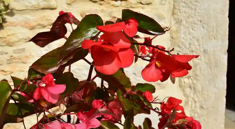 Holiday home in Saint-Germain-du-Bel-Air