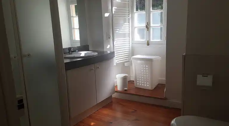 Castle in Serrières-en-Chautagne