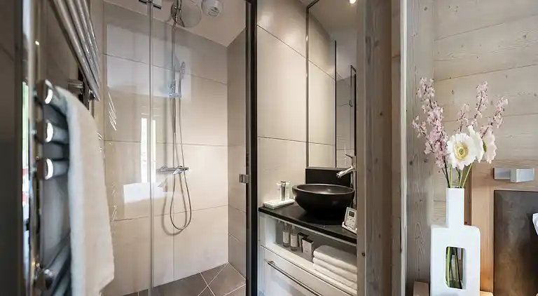 Apartment in Saint-Jean-de-Sixt