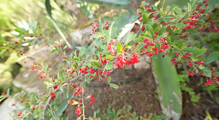 Holiday home in Sainte-Maxime