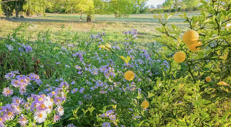 Holiday home in Marssac-sur-Tarn