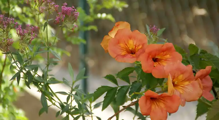 Villa in Saint-Antonin-du-Var