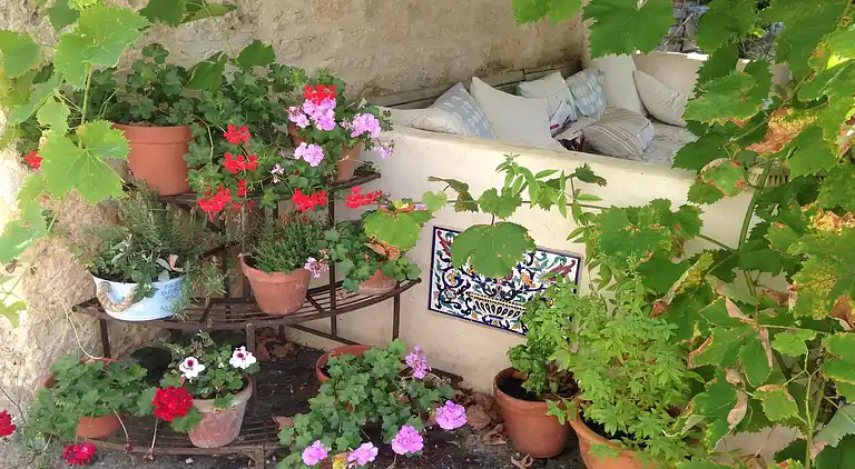 Holiday home in Marssac-sur-Tarn