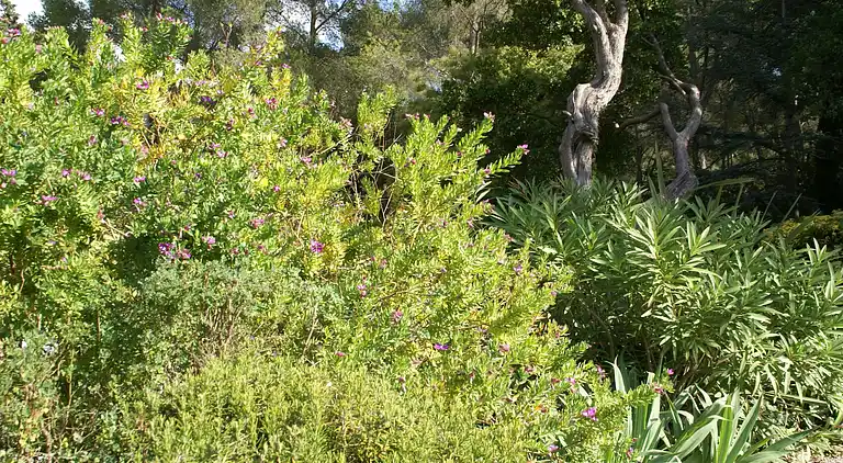 Holiday home in Six-Fours-les-Plages