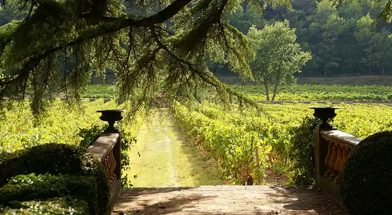 Holiday home in Saint-Antonin-du-Var