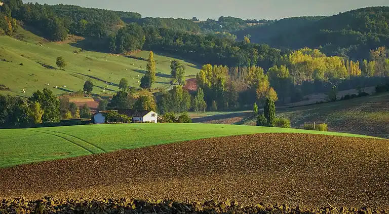 Holiday home in Saint-Amans-du-Pech