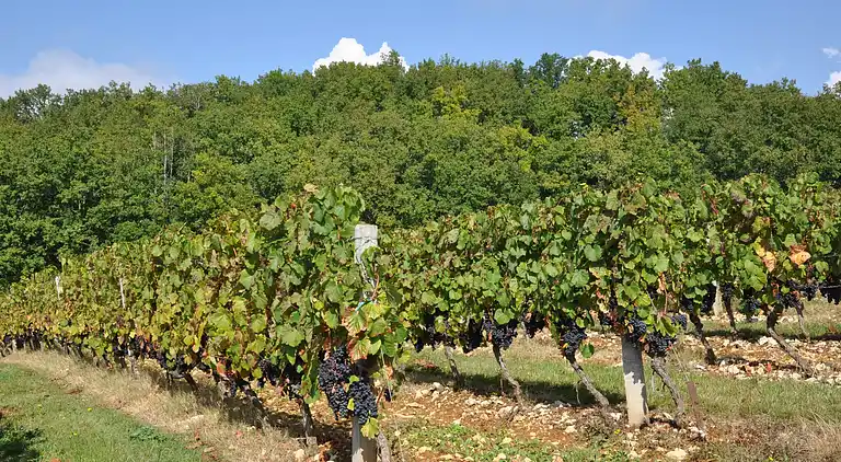 Villa i Saint-Amans-du-Pech