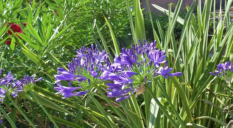 Holiday home in Six-Fours-les-Plages