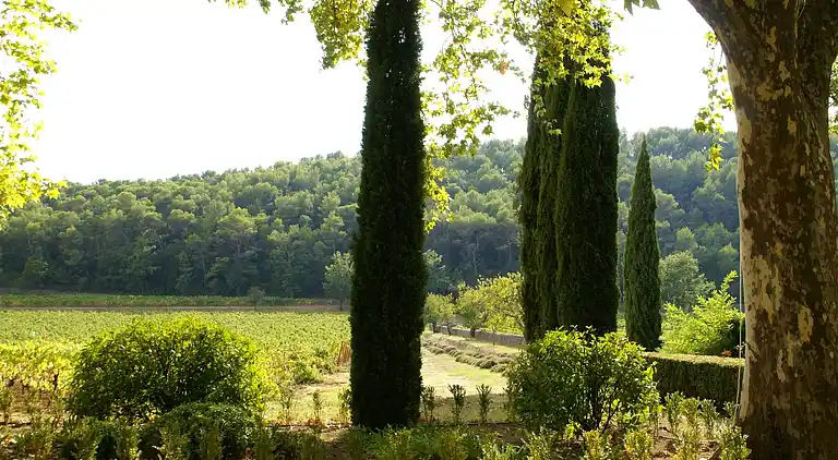 Villa in Saint-Antonin-du-Var