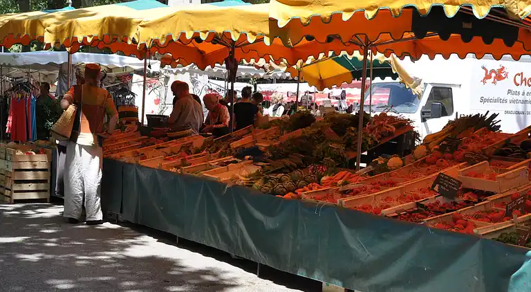 Villa i Saint-Amans-du-Pech