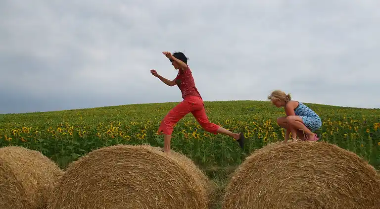 Cottage in Marssac-sur-Tarn