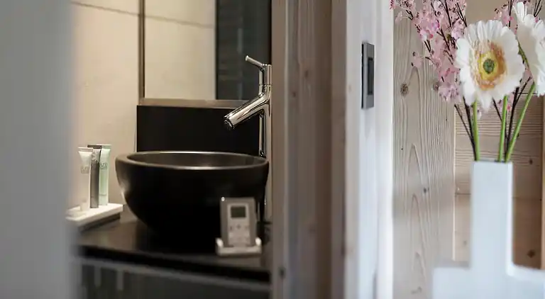 Apartment in Saint-Jean-de-Sixt