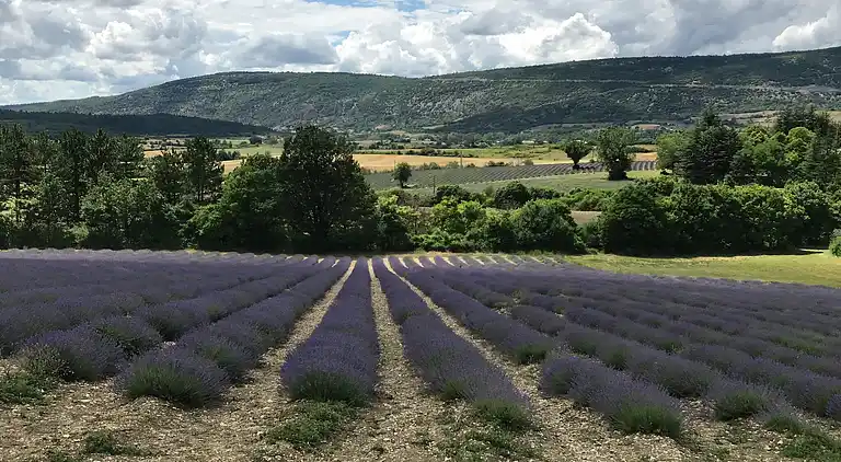 Villa in Saumane-de-Vaucluse