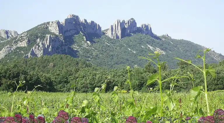 Herregård i Grillon