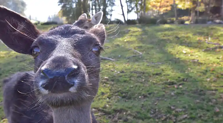 Holiday home in La Haye