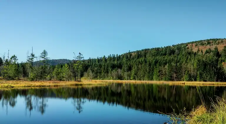 Cottage in La Bresse