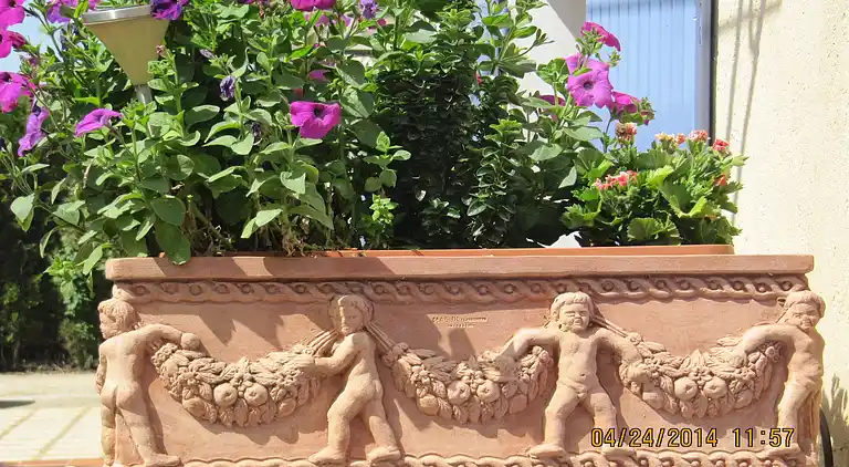 Farm house in Carpentras