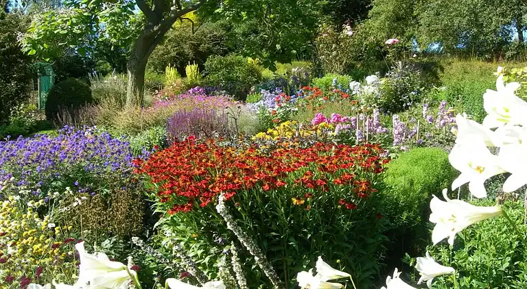 Sommerhus i Nettlestead