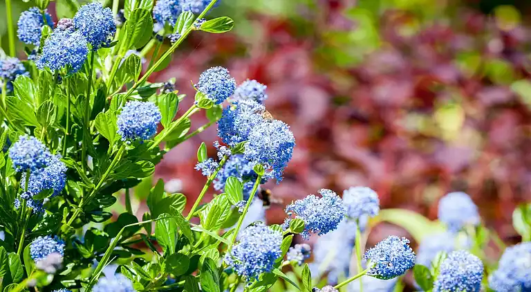 Holiday home in Llanbedrog