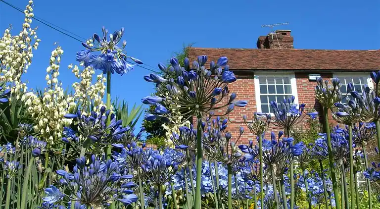 Sommerhus i Nettlestead
