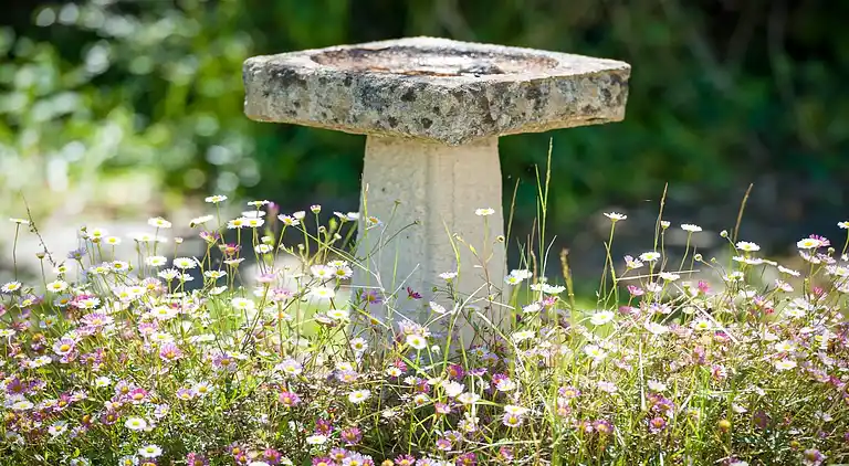 Holiday home in Llanbedrog