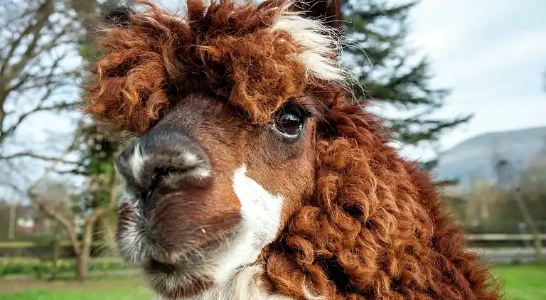 Holiday home in Gilwern