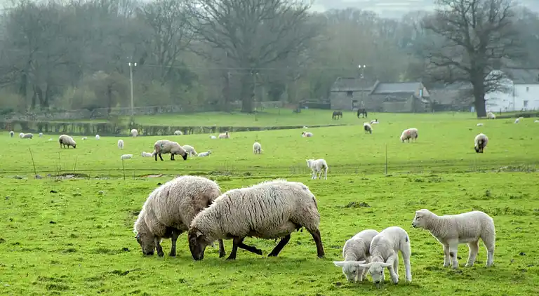 Holiday home in Gilwern