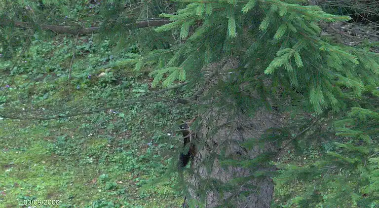 Holiday home in Vrbovsko