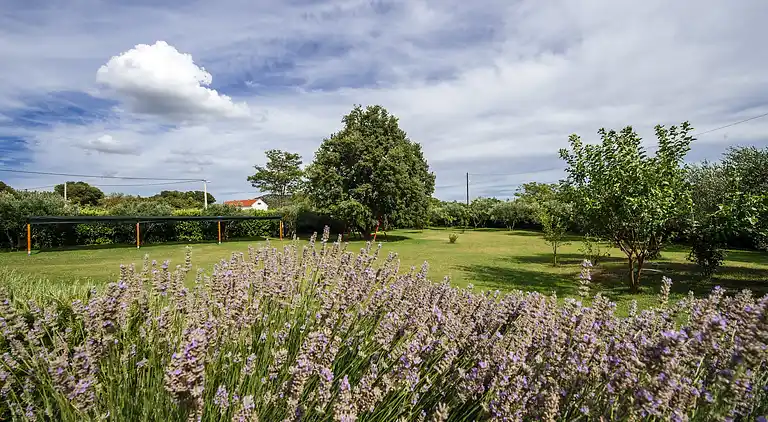 Holiday home in Polača