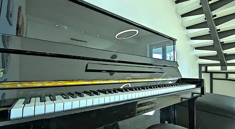 Villa i Purgarija Čepić