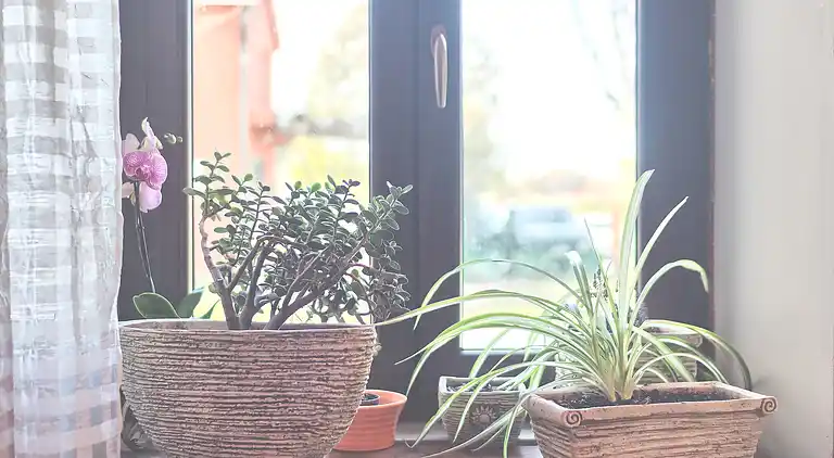 Sommerhus i Marčana