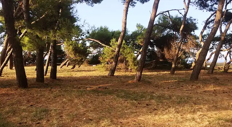 Holiday home in Picciano