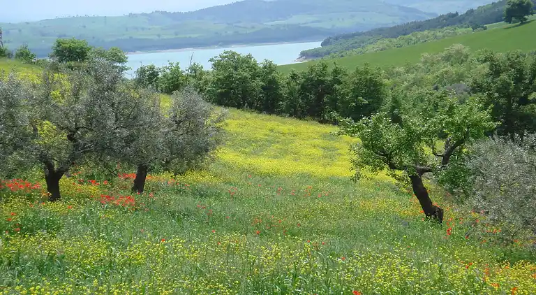 Apartment in Ripabottoni